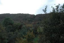 The incline